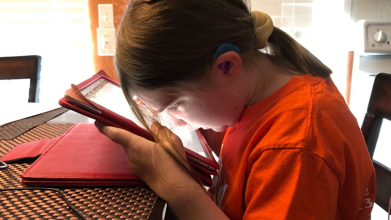 Pandemic, NTI Reveal Online Accessibility Equality Gap