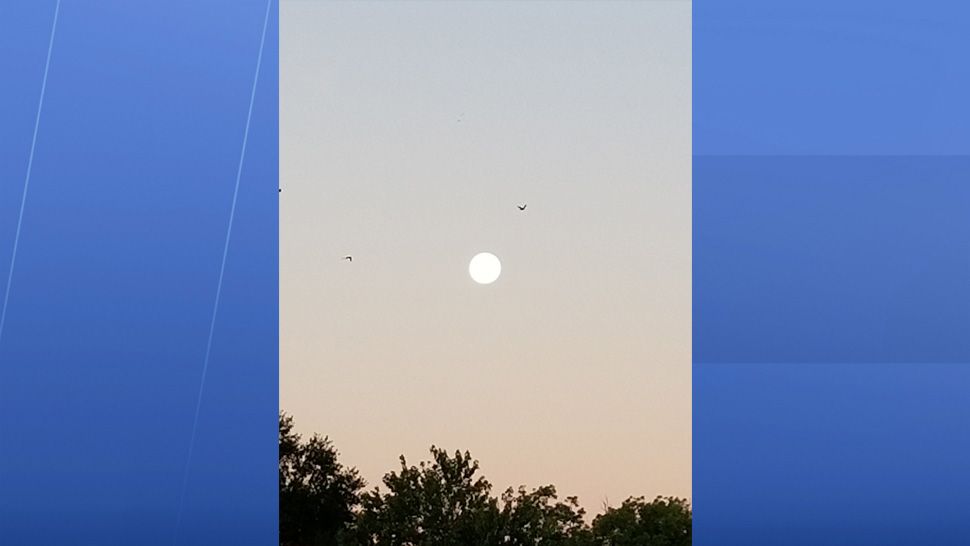 A full moon shining bright in the night sky on Wednesday, October 24, 2018. (Sent via our Spectrum News app)