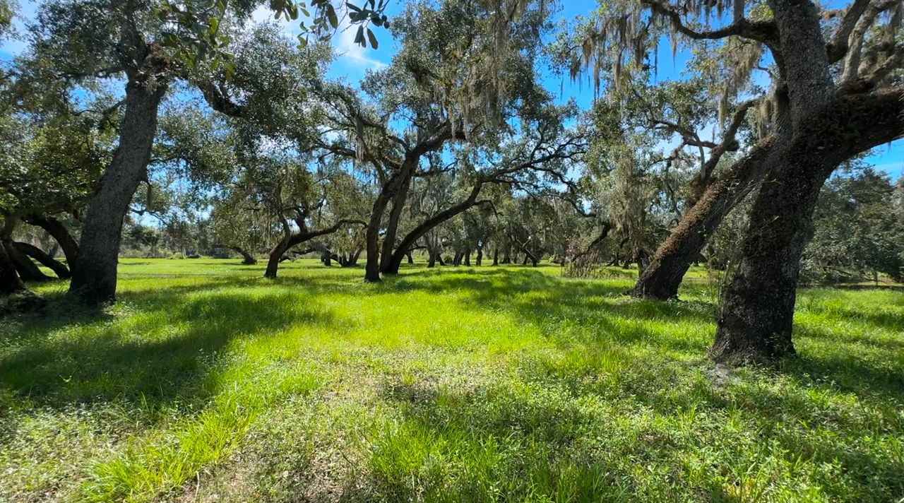 What Manatee County’s land preservation tax could mean for homeowners