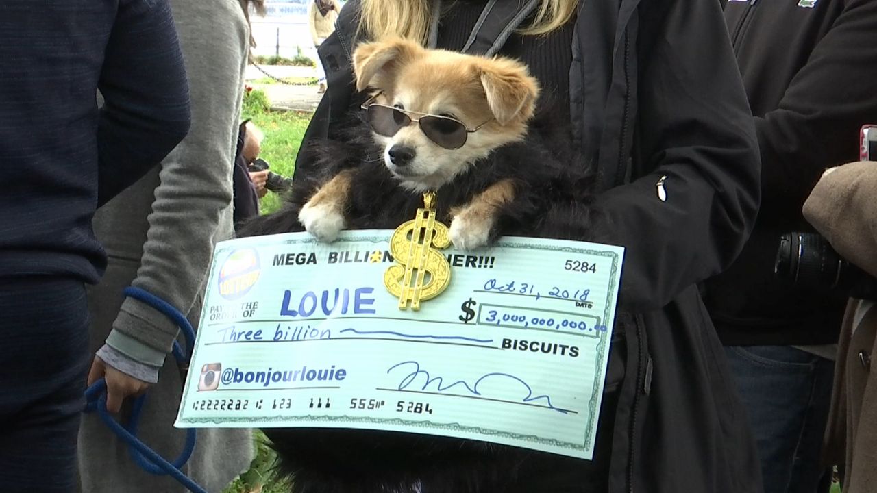 Tompkins Square Halloween Dog Parade Returns at New Location