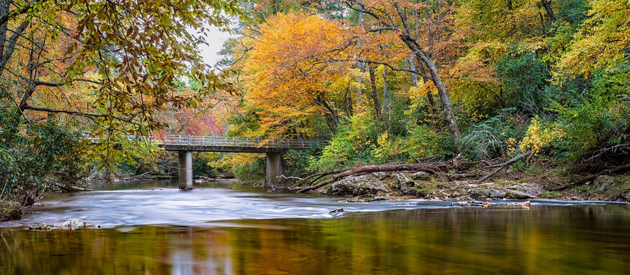 Temperatures climb to the 70s before a chance of rain