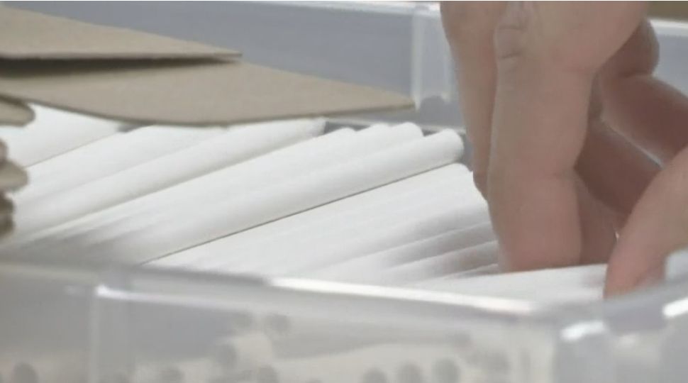 Paper or Plastic? The Role of Paper Straws in Climate Change - Spectrum News