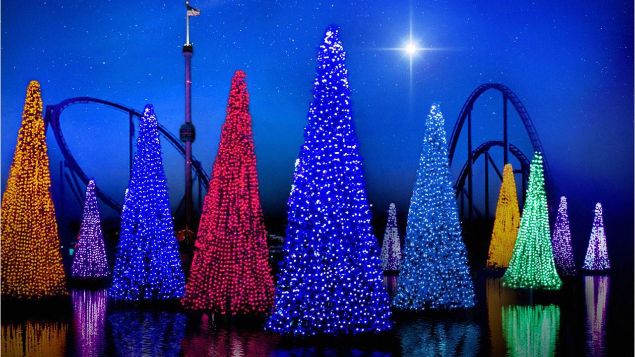 SeaWorld Orlando's Christmas Celebration will feature a sea of sparkling Christmas trees. (Photo courtesy of SeaWorld)