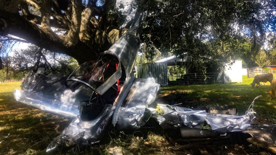 Remains of an aircraft that crashed into a tree in Zephyrhills on Monday, October 15, 2018. (Laurie Davison/Spectrum Bay News 9)