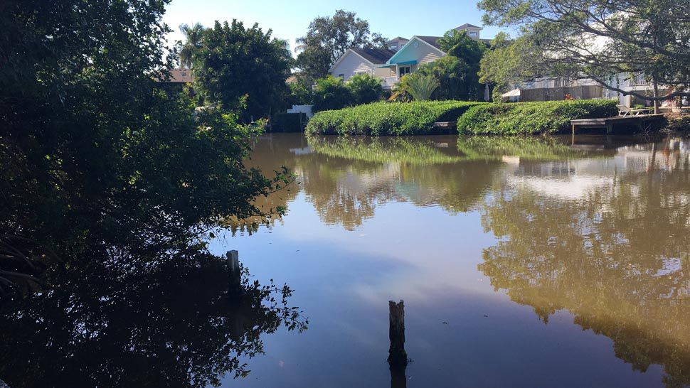 This lake behind a number of homes in Holmes Beach has had this same brown color since a sewage spill dumped thousands of gallons of raw sewage into it in 2015. (Lauren Verno/Spectrum Bay News 9)