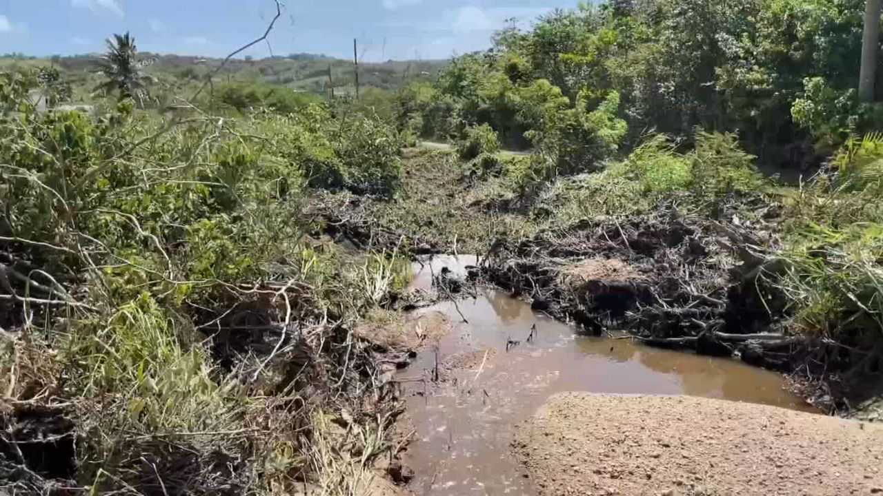 The devestation from Hurricane Fiona in Puerto Rico has left many farmers without crops and herds. (NY1 Photo)