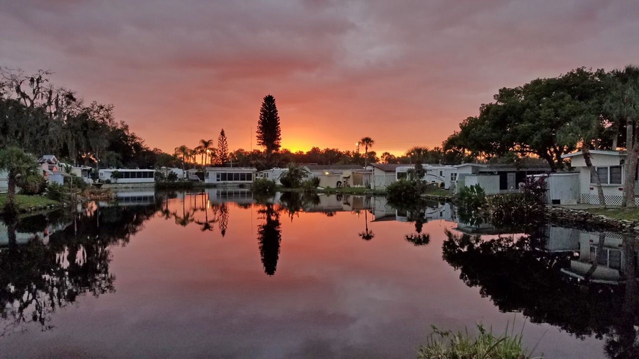 Sent to us with the Spectrum Bay News 9 app: A very peaceful scenery at Ellenton Gardens Pond on Saturday, November 02, 2019. (Photo courtesy of Mike Huffman, viewer)