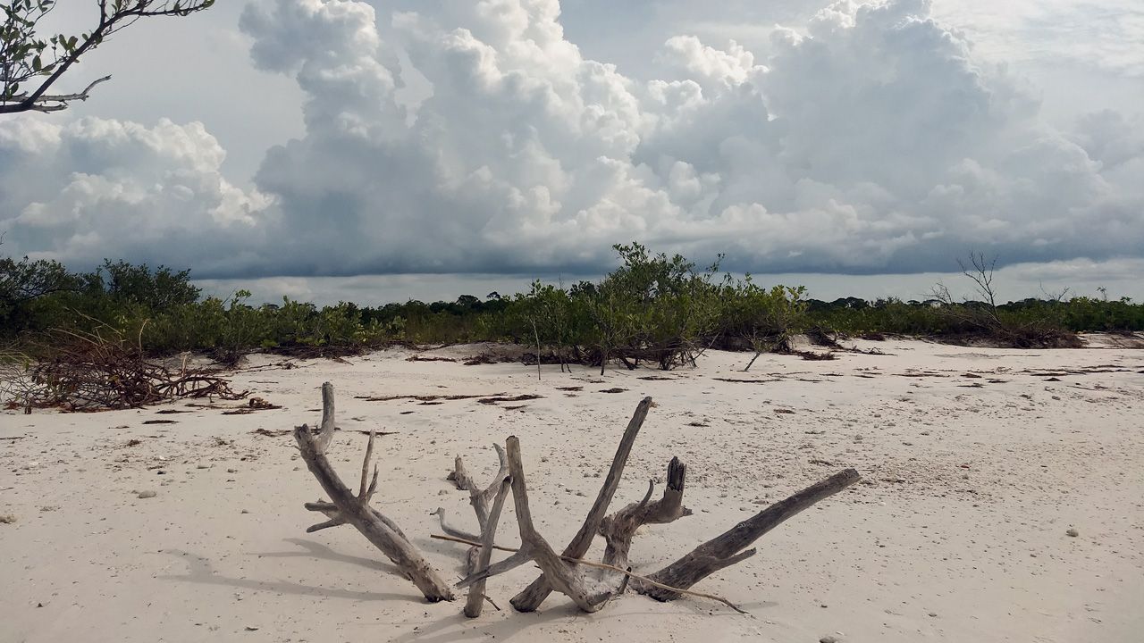 Orlando Area Weather: Lower Rain Coverage Thursday
