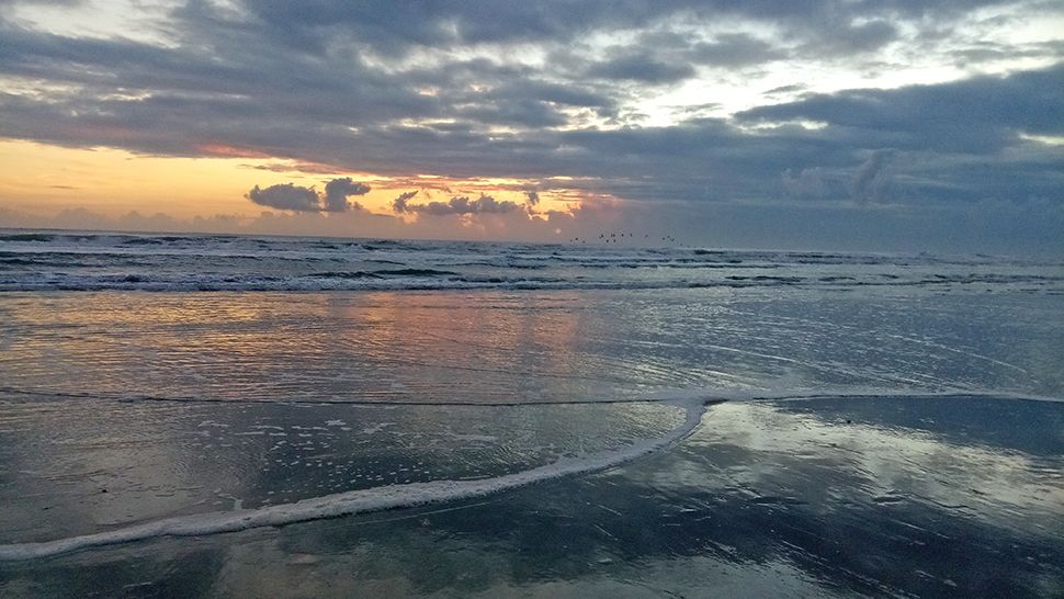 Submitted via the Spectrum News 13 app: A stunning sunrise greets New Smyrna Beach on Tuesday, Nov. 13, 2018. (Courtesy of Kim Kisellus)