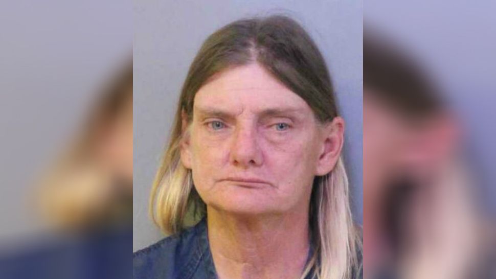 Mug shot of Donna Byrne, 53, charged with a DUI on a horse. 