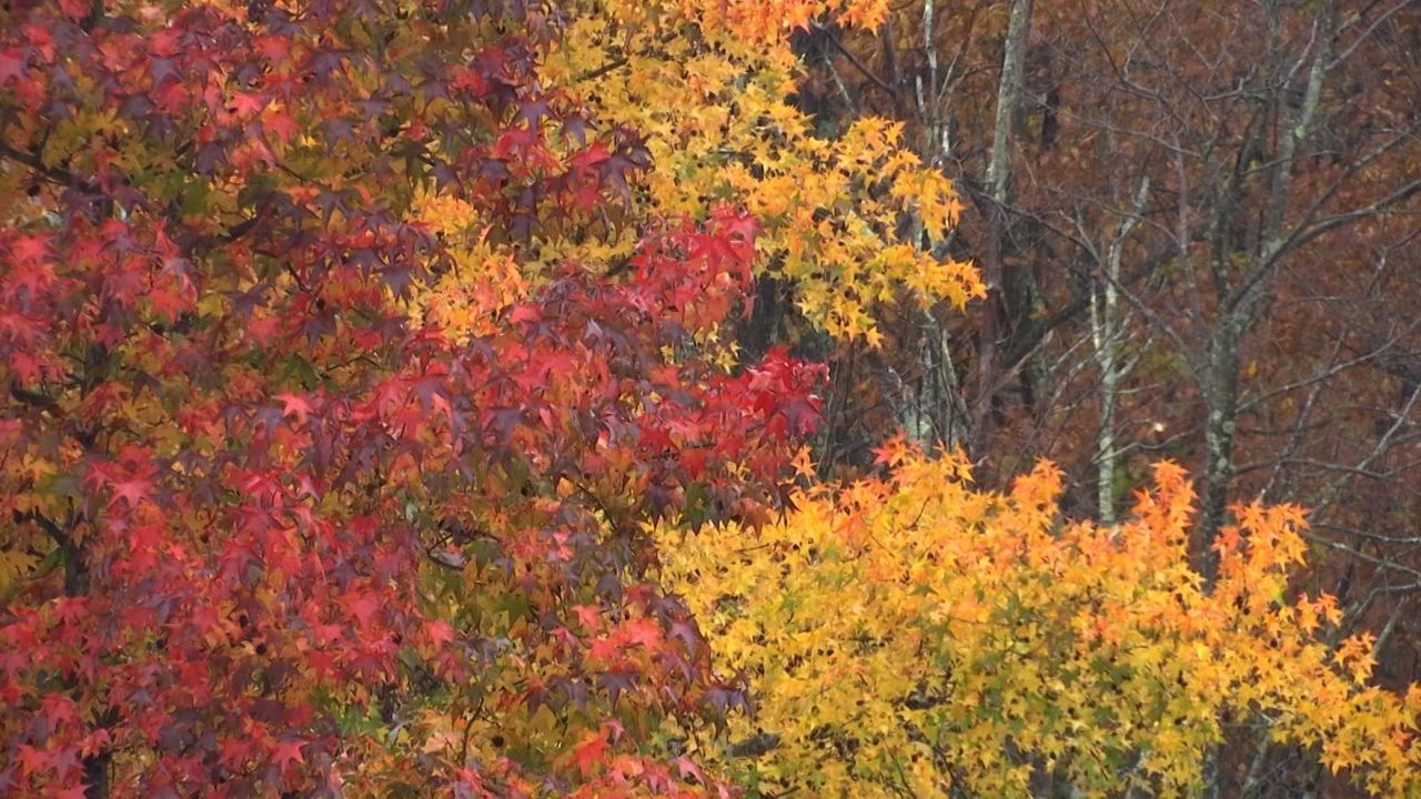 Weather in Kentucky in October Understanding the Climate and Weather Patterns