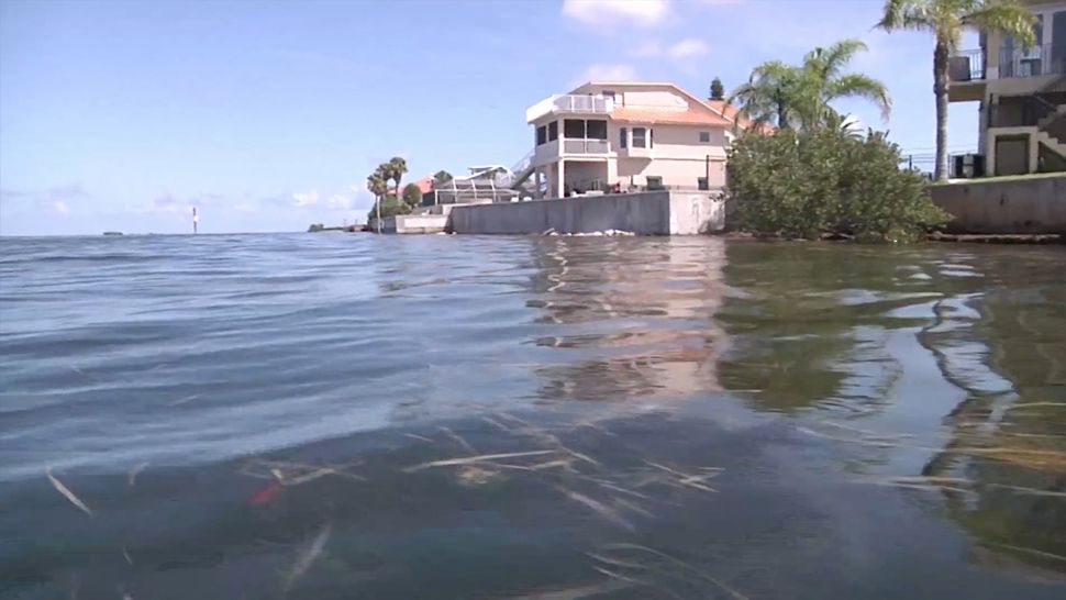 A resident wants to install a dock on her gulf front property, but the Port Authority is concerned about boater safety in the channel. (Kim Leoffler/Spectrum Bay News 9)