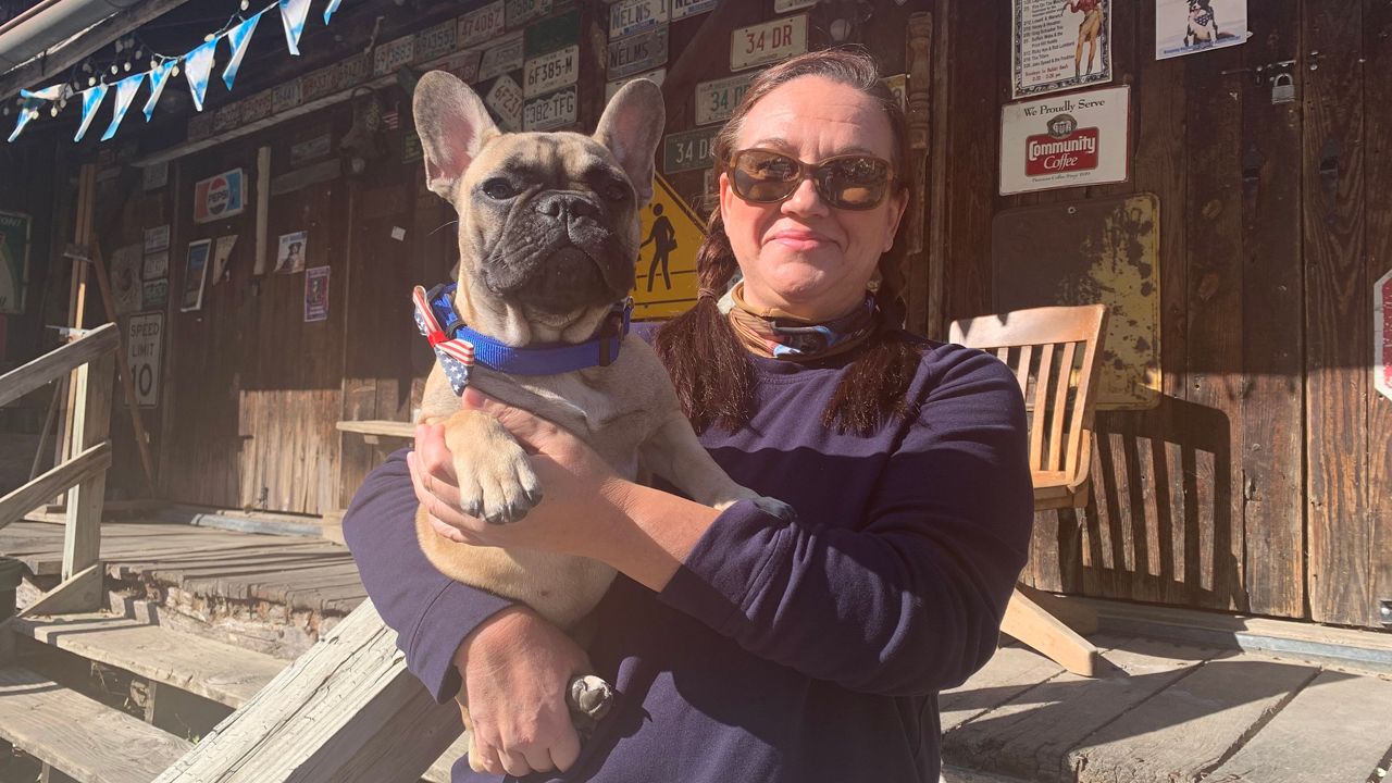 Meet Mayor Wilbur of Rabbit Hash