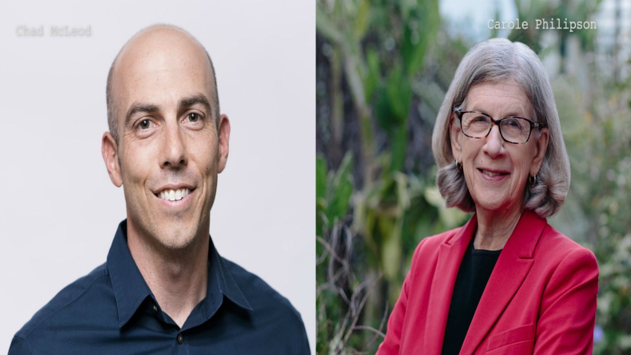 Chad McLeod and Carole Philipson will be in a runoff election for a city of Lakeland at-large seat. (Photos provided by candidates)