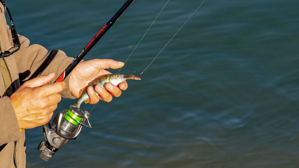 fishing