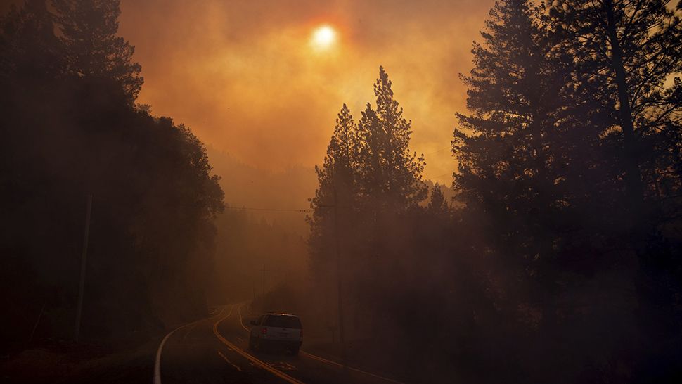A vehicle drives through smoke from a wildfire near Pulga, Calif., Sunday, Nov. 11, 2018. (AP/Noah Berger)
