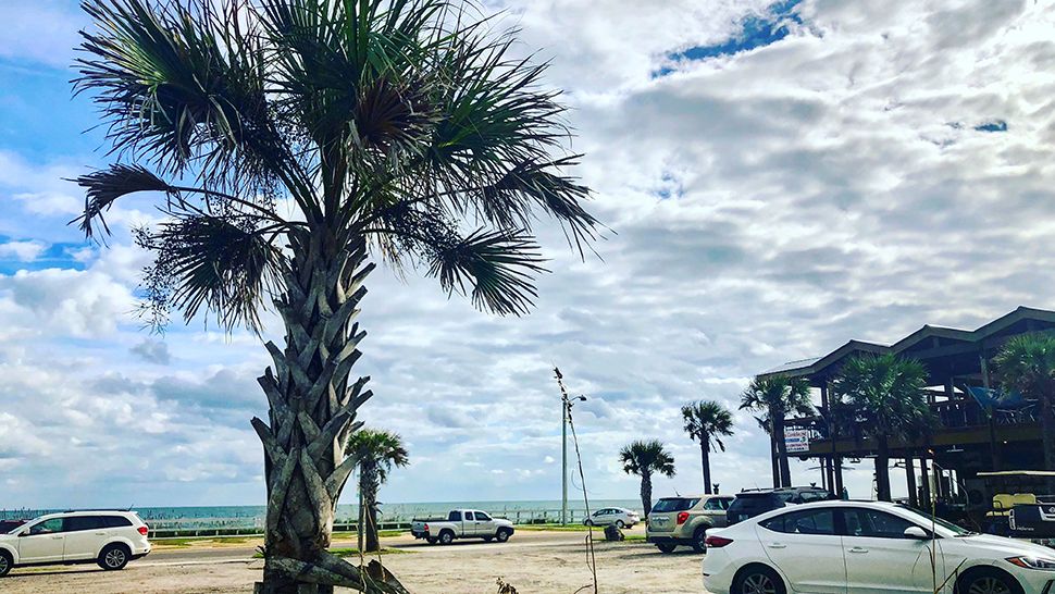 Submitted via the Spectrum News 13 app: A pleasant weather day at Flagler Beach, Sunday, Nov. 11, 2018. (Courtesy of Joyce Connolly)
