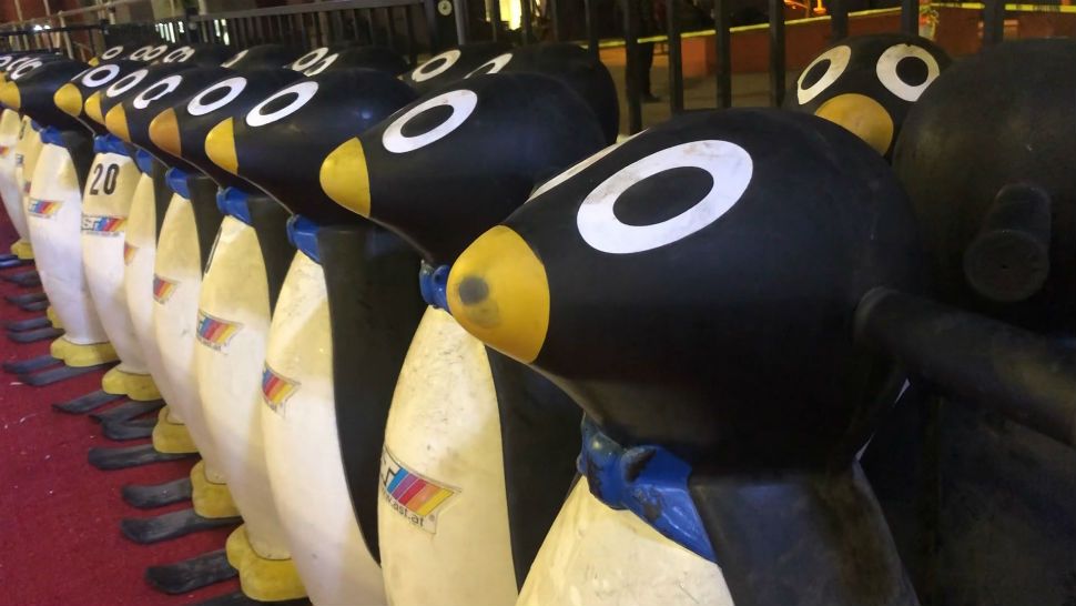 Training penguins are offered to help those who are new to the ice.