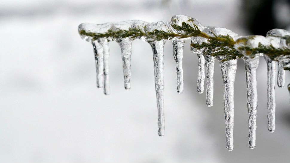 FILE photo of icicle dripping on a tree branch. (Pixabay)