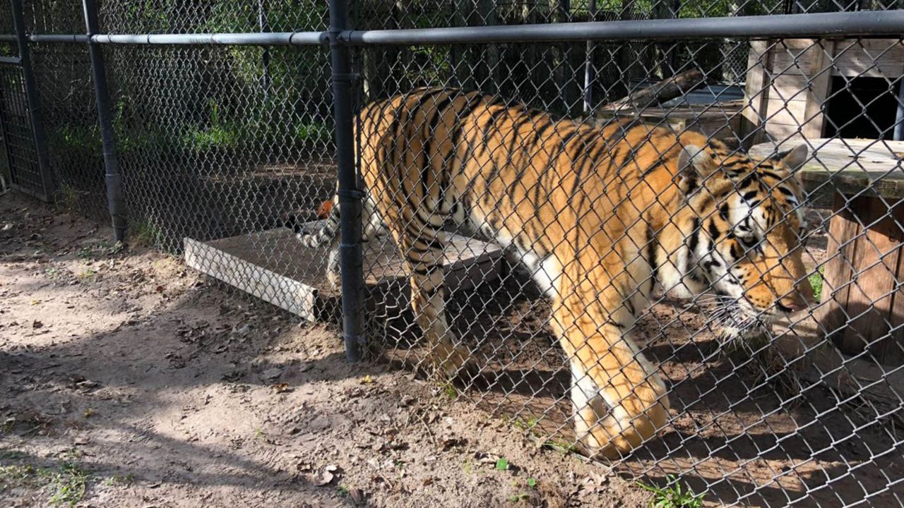 Florida on a Tankful: Catty Shack Ranch