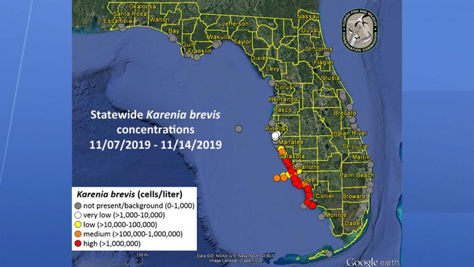 Red Tide In Florida Map 2020 Red Tide Detected in Manatee County, But Water Remains Clear