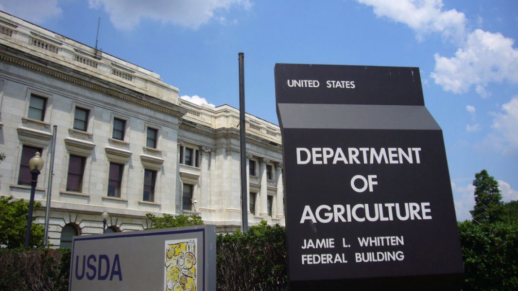 USDA testing ground beef in aftermath of bird flu outbreak