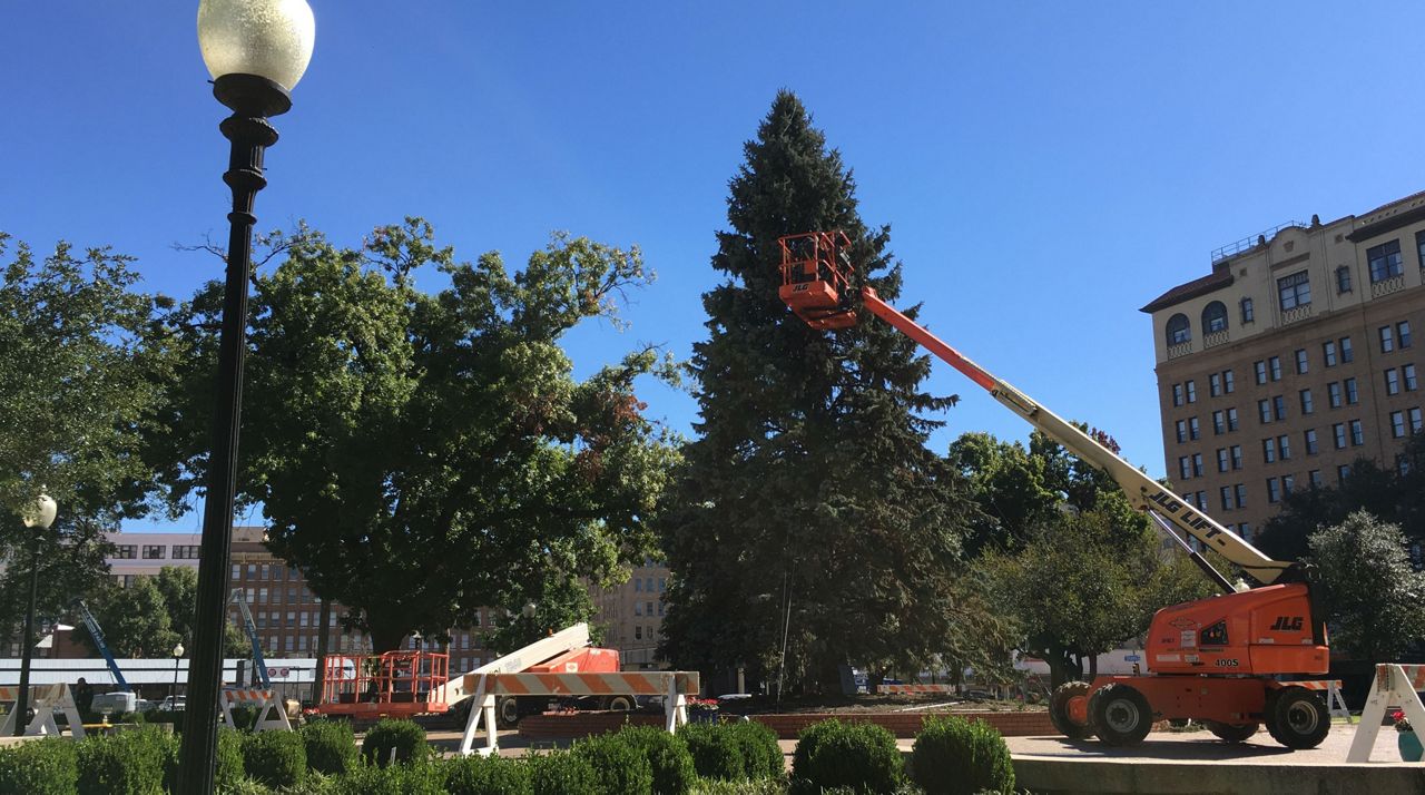 Christmas tree at Travis Park (Spectrum News)