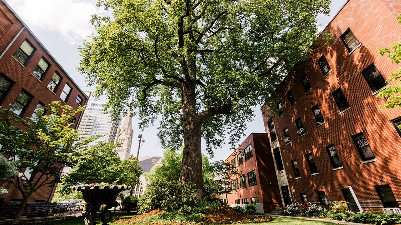 Spalding University's mansion courtyard (Spalding University)