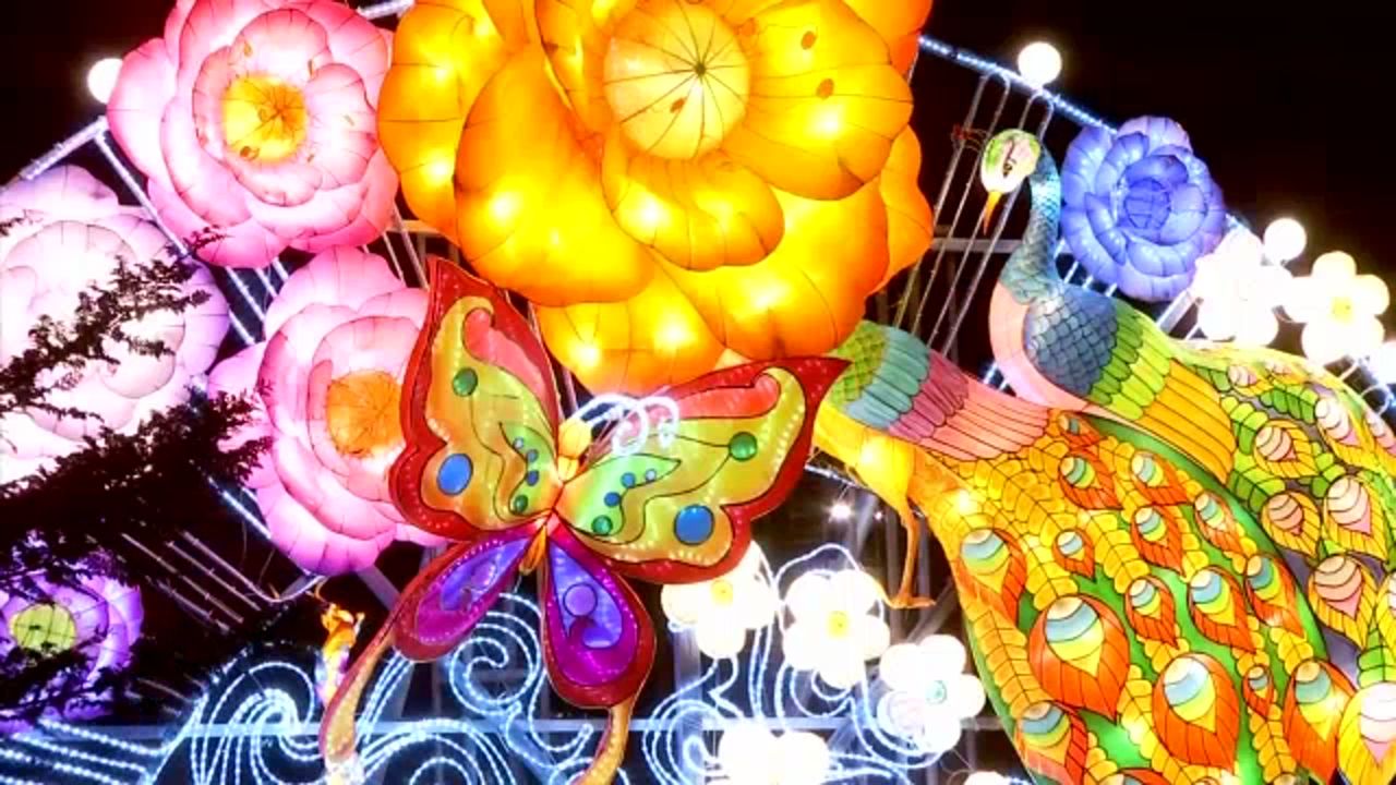 Chinese Lantern Festival