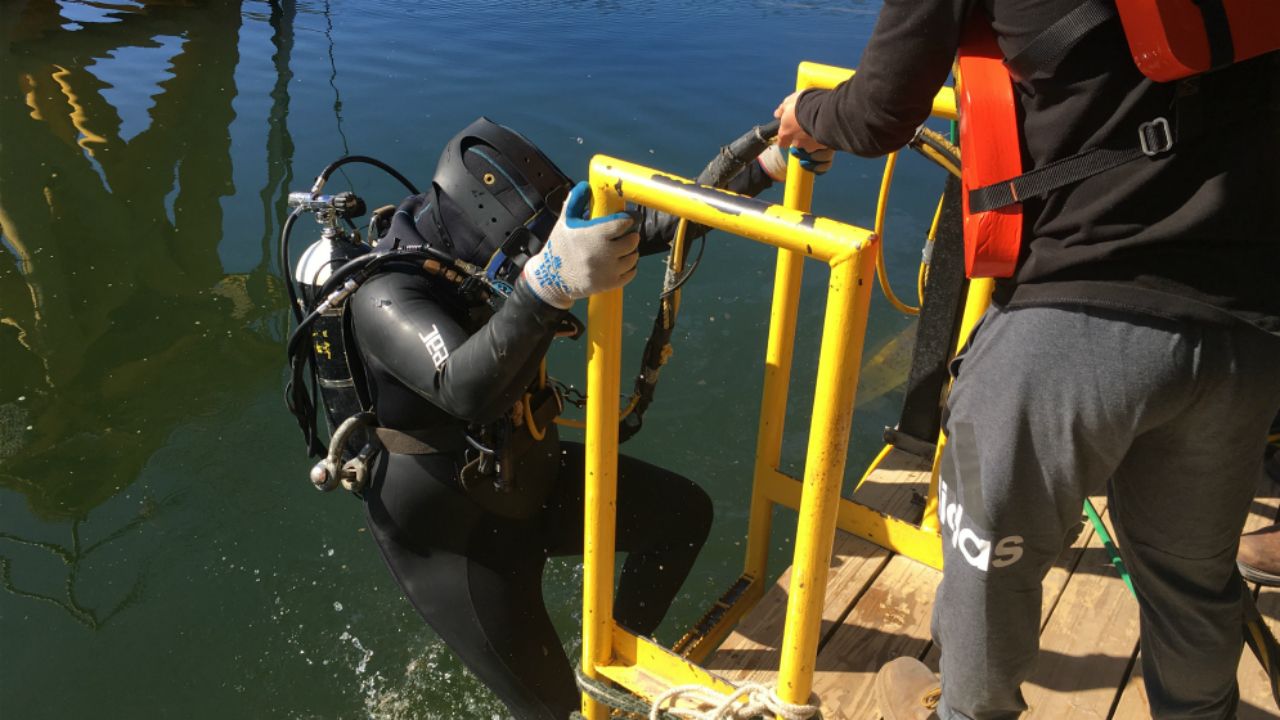 The 20-week course runs five days a week and includes in its curriculum lessons on physics, physiology, medical training, and diving everyday. (Sarah Blazonis/Spectrum Bay News 9)