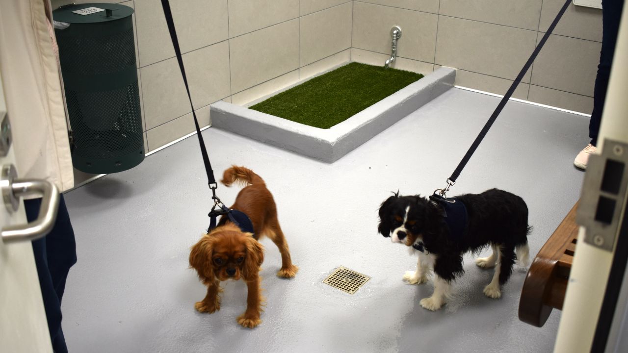 Orlando International Airport Opens New Pet Relief Stations