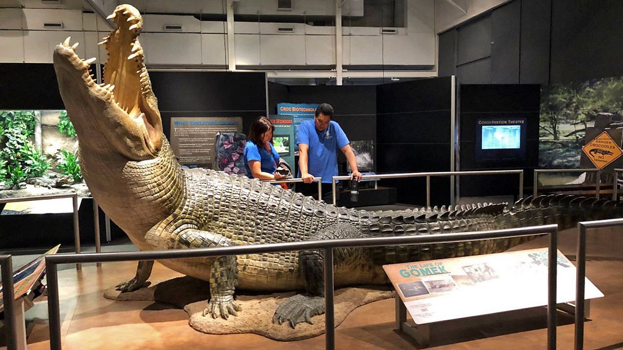 Florida on a Tankful: Florida Museum of Natural History