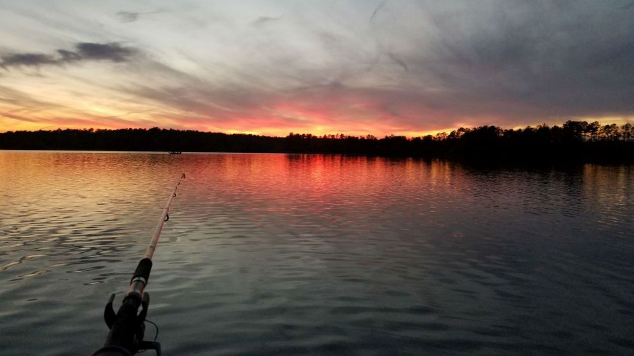 Recent sunset at Shearon Harris Reservoir.  Photo by Bobby Strickland.