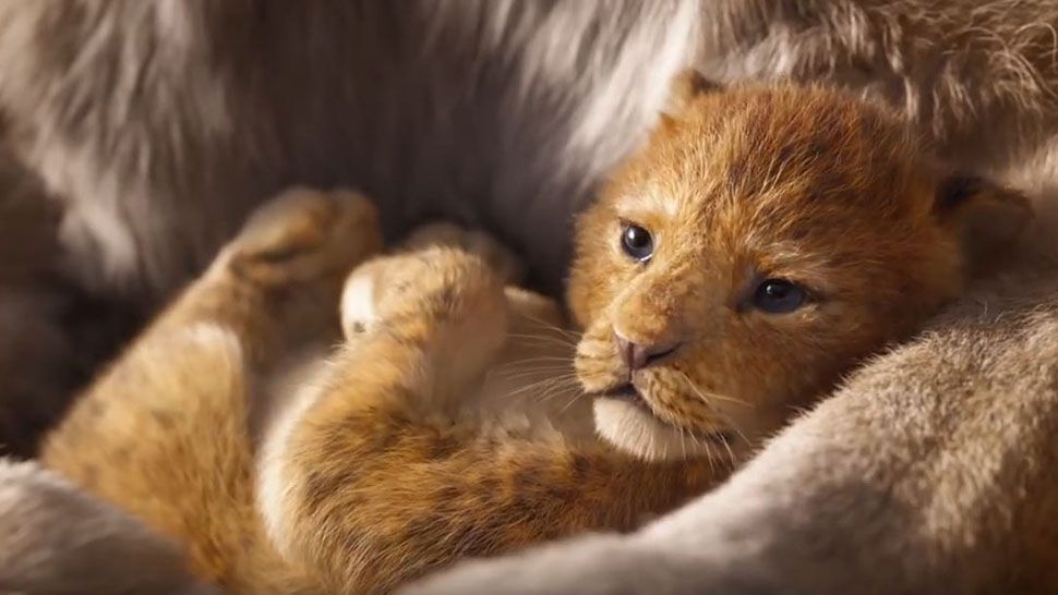 Young Simba in a scene from Disney's upcoming The Lion King remake. (Courtesy of Walt Disney Studios)