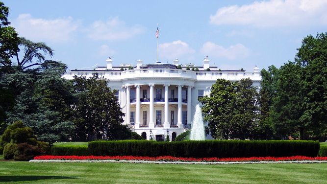 the white House