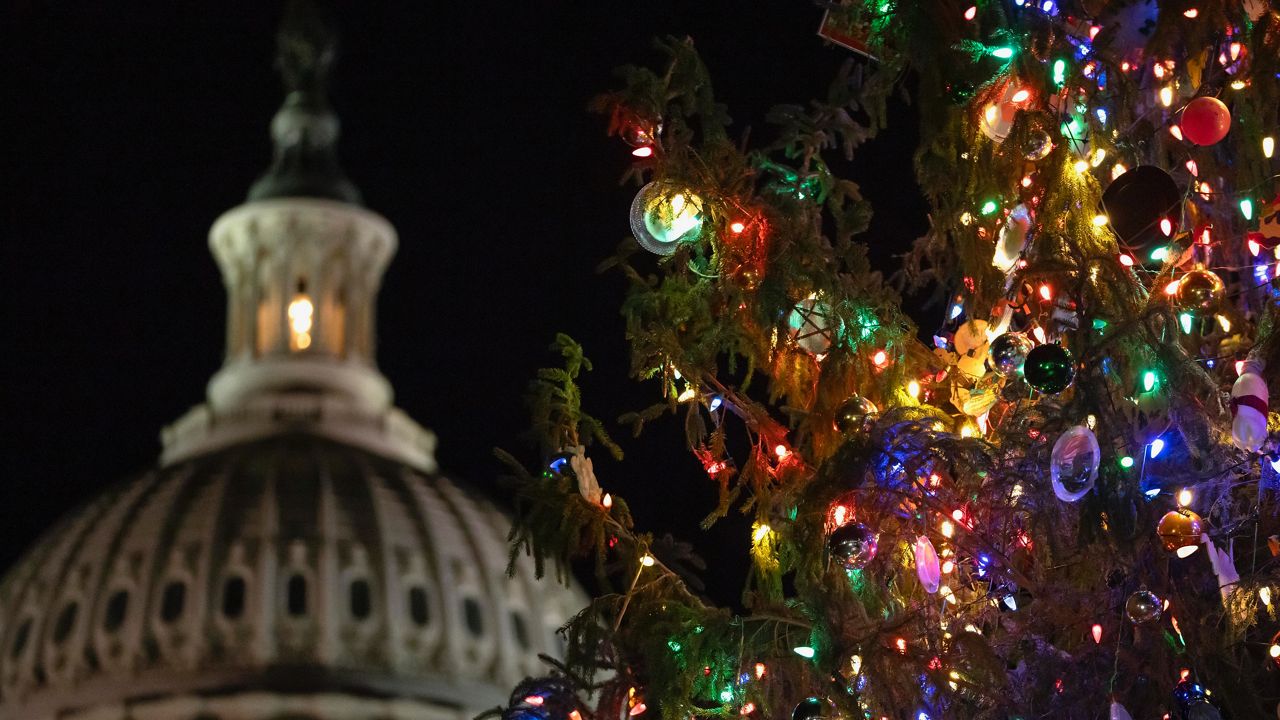 The U.S. Capitol Christmas Tree is seen after a lighting ceremony on the West Front of the Capitol, Tuesday, Nov. 28, 2023 in Washington. (AP Photo/Mark Schiefelbein)