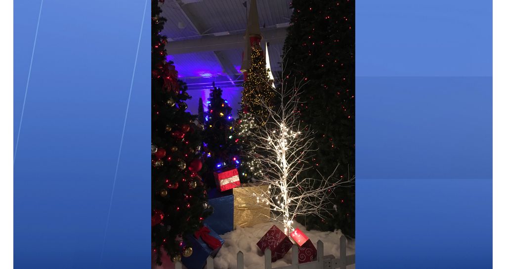 The giant holiday event features more than 1.5 million lights and dozens of Christmas trees ranging from 4 - 40 feet tall. (Laurie Davison/Spectrum Bay News 9)