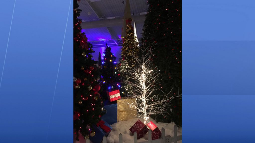 The giant holiday event features more than 1.5 million lights and dozens of Christmas trees ranging from 4 - 40 feet tall. (Laurie Davison/Spectrum Bay News 9)