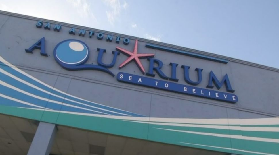 The entrance to the San Antonio Aquarium in Leon Valley, Texas, appears in this undated file image. (Spectrum News/File)