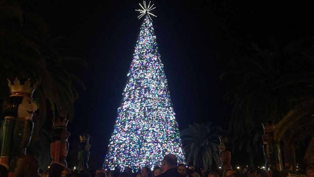Lexington Christmas Tree