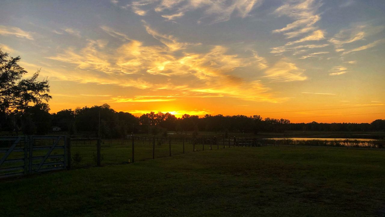 OrlandoArea Weather Cold Front to Move into Area Sunday