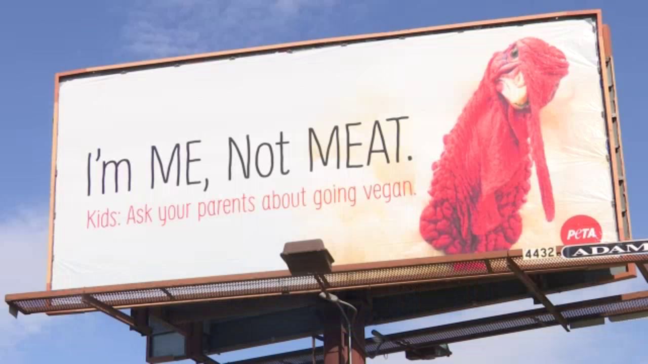 PETA billboards in Charlotte spur mixed reaction