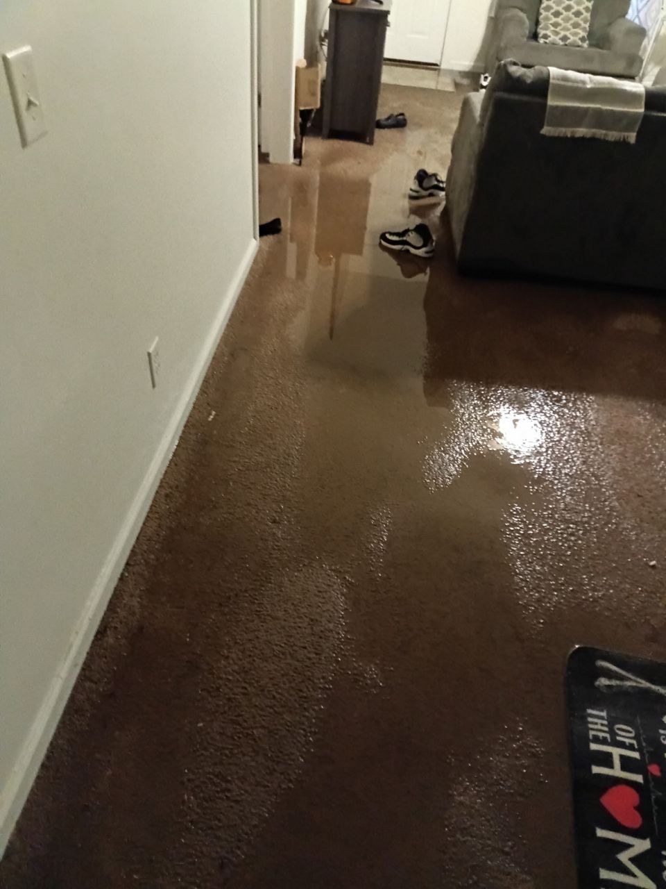 Water drenched Reema Williams' carpet and parts of her home's interior. (Courtesy Reena Williams)