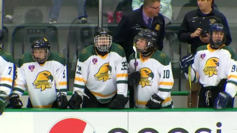 Youth Hockey Gane Honors Teacher Killed Riding her Bike