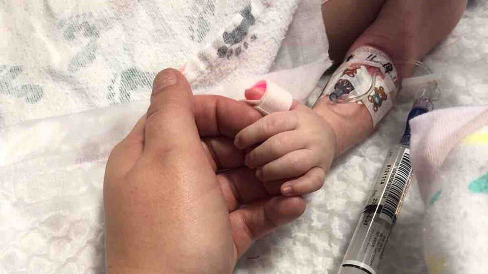 This photo shared on the GoFundMe page for seven-week-old Gwendolyn Eydelman shows Gwendolyn's hand held gently by that of her mom, Mariah Salmon. Gwendolyn died on November 19, 2018. (Courtesy of Mariah Salmon)