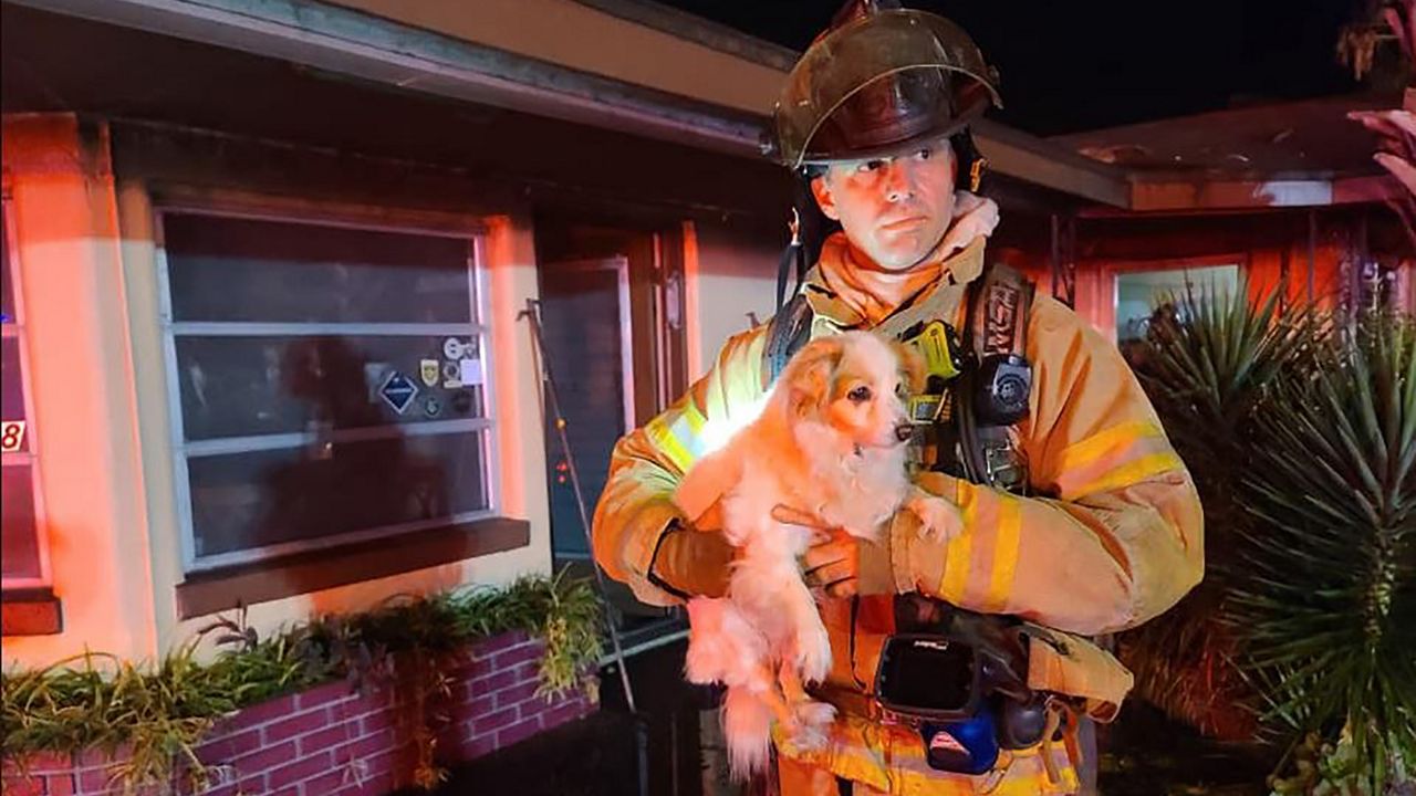 Marion County Fire Rescue Saves Woman, 2 Dogs at Motel Blaze