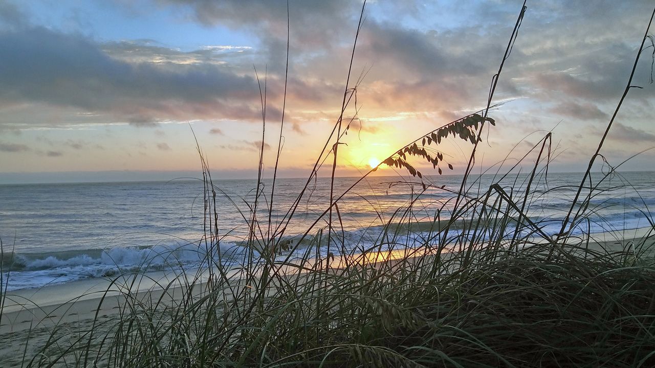 Sent to us with the Spectrum News 13 app: Highs for Monday will be above average. (Photo courtesy of Sue Archer, viewer)