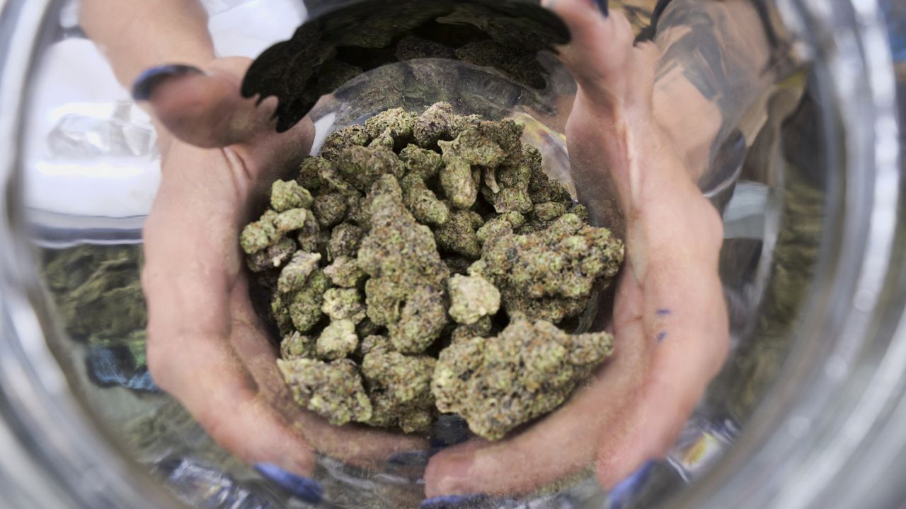 A bud tender displays a jar of cannabis at the High Times 420 SoCal Cannabis Cup in San Bernardino, Calif. on April 21, 2018. (AP Photo/Richard Vogel)
