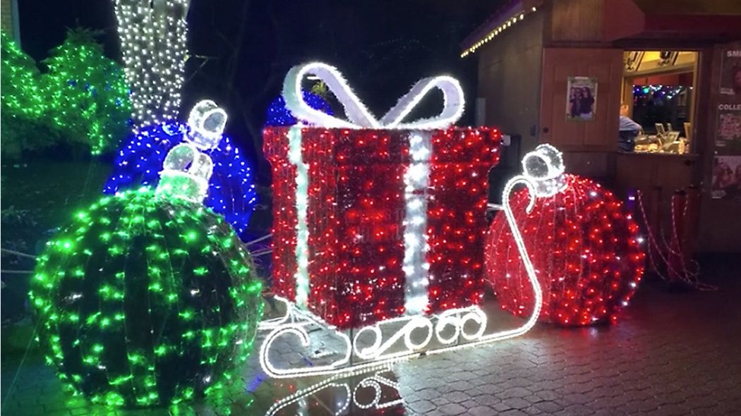 cleveland zoo lights discount tickets