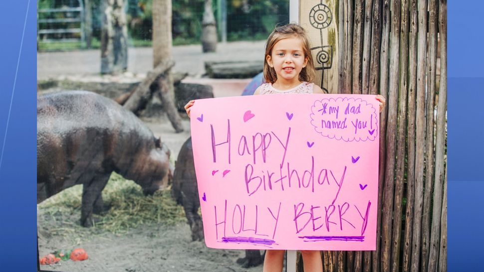 Holly Berry, the hippo, celebrated her first birthday on Saturday thanks to her family at ZooTampa and her friends at The Hyppo. (ZooTampa)